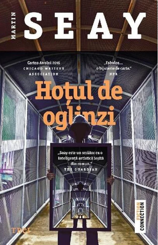 Hoțul de oglinzi