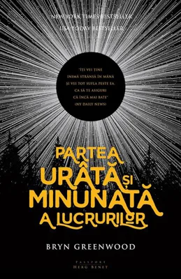 Partea urâtă și minunată a lucrurilor