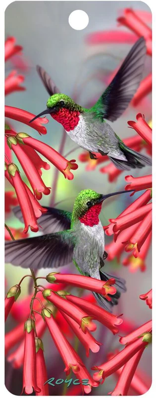 Semn de carte 3D - Hummingbirds