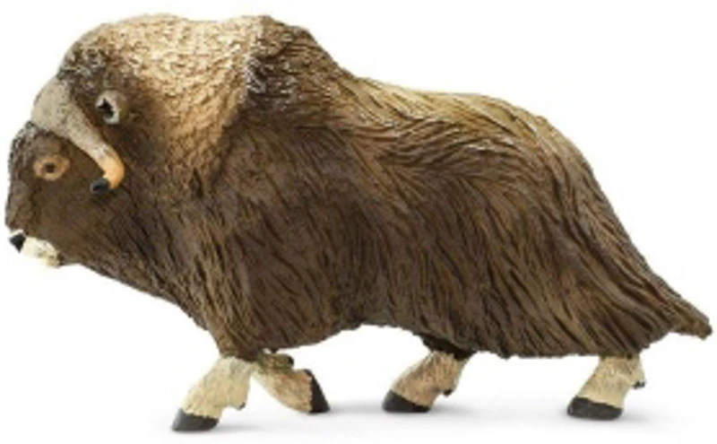 Bou moscat