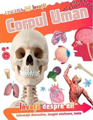 Învață! Corpul Uman