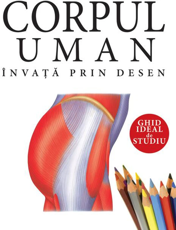 Corpul uman