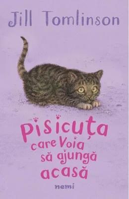 Pisicuța care voia să ajungă acasă