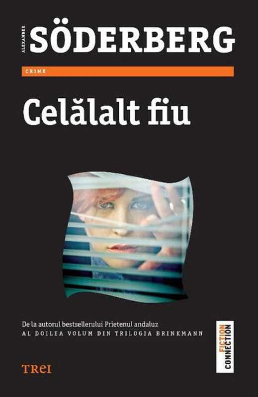 Celălalt fiu