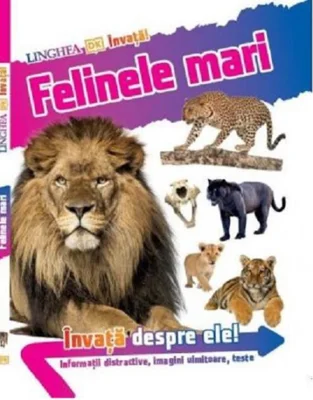 Învață! Felinele mari