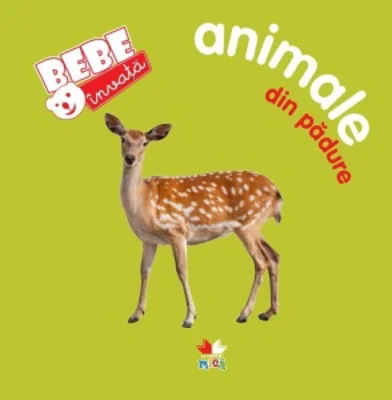 Animale din padure. Bebe invata