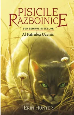 Al patrulea ucenic (Vol.19)