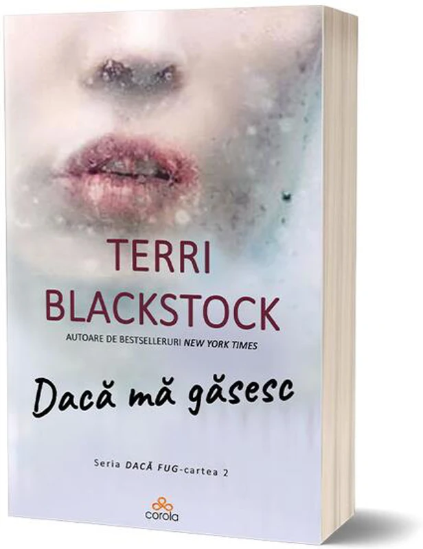 Dacă mă găsesc (Vol. 2)