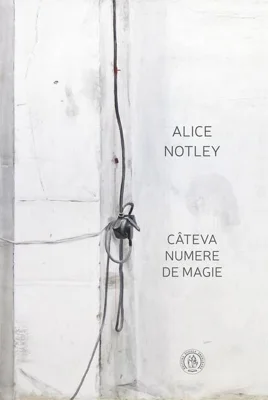 Câteva numere de magie