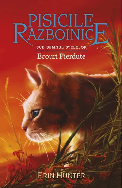 Ecouri Pierdute (Vol.20)