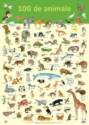 Planșă - 100 de animale
