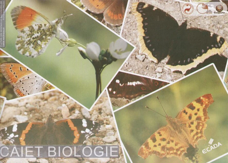 Caiet Biologie 17X24 cm ECADA