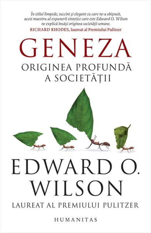 Geneza. Originea profundă a societății