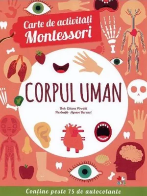 Corpul uman