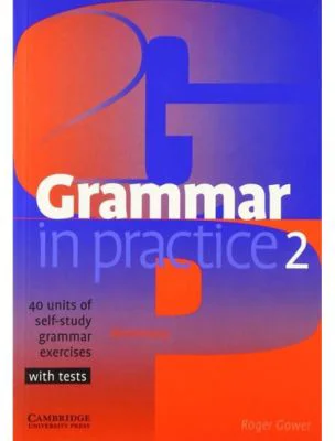 Grammar in Practice 2