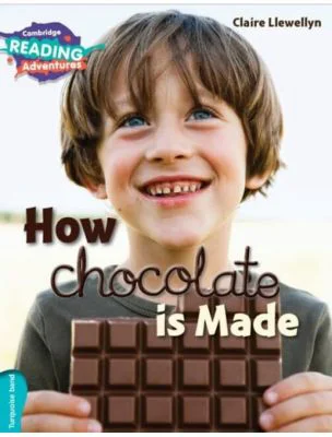 Turquoise How Chocolate is Made