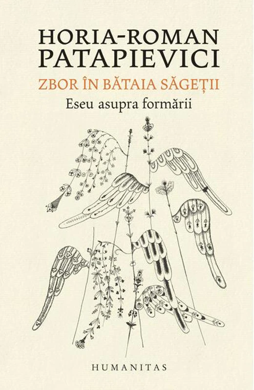 Zbor în bătaia săgeţii