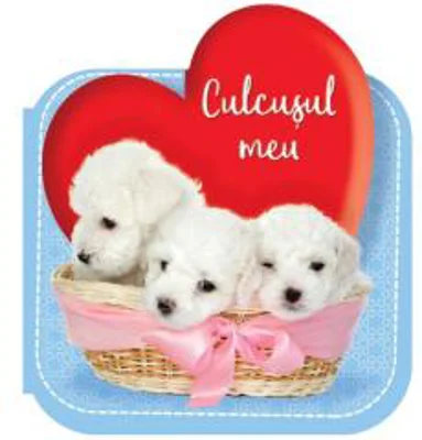 Culcusul meu |