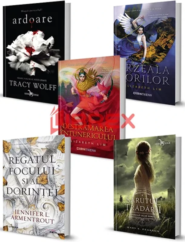 Pachet Universul cartilor fantasy. Set 5 volume