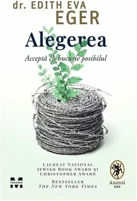 Alegerea. Accepta cu bucurie posibilul