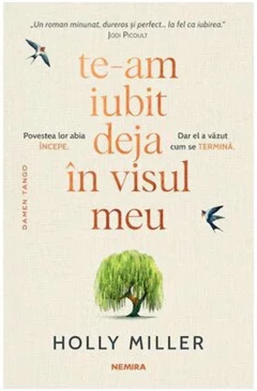 Te-am iubit deja in visul meu