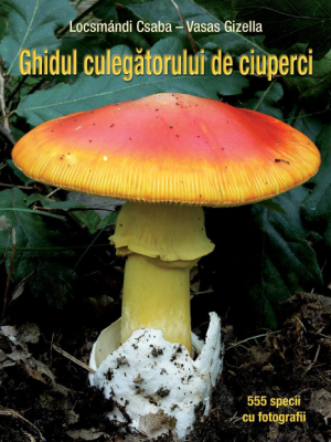 Ghidul culegatorului de ciuperci. 555 de specii - Vasas Gizella, Locsmandi Csaba