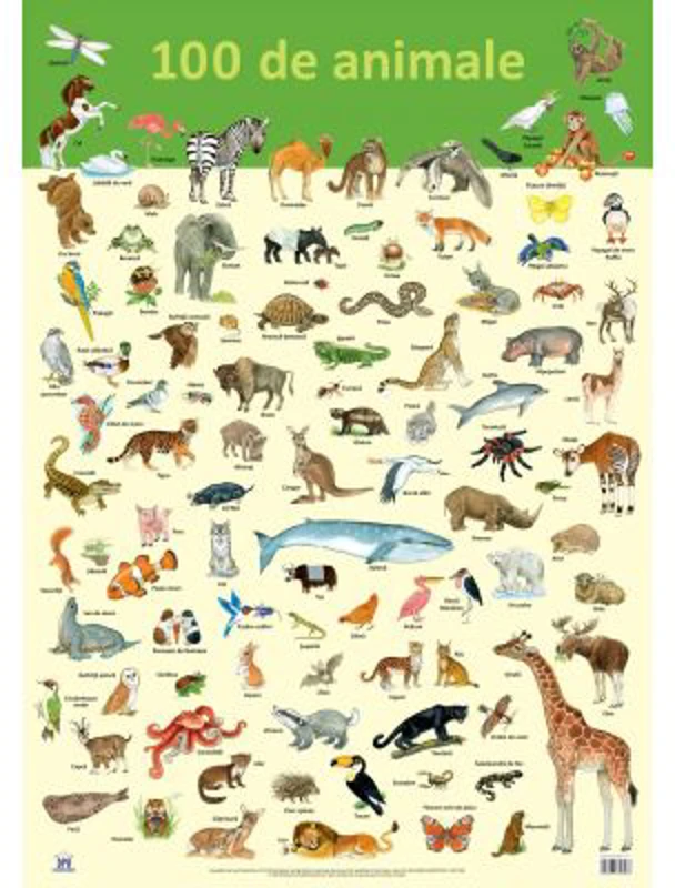 Plansa. 100 de animale - Nelson Verlag