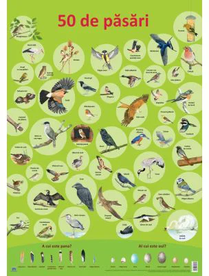 Plansa. 50 de pasari - Nelson Verlag