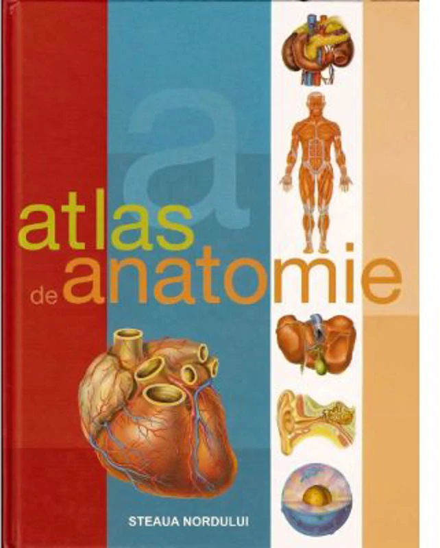 Atlas de anatomie