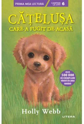 Catelusa care a fugit de acasa (Nivelul 6)