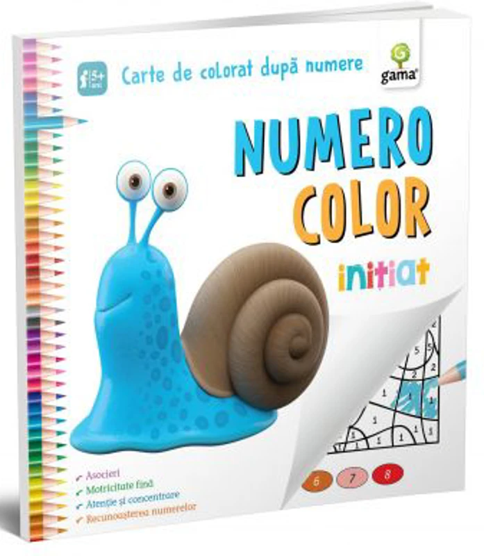 Numero Color. Initiat. Carte de colorat dupa numere
