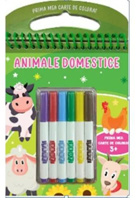 Animale domestice 3+. Cu carioci