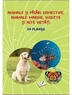 Animale si pasari domestice, animale marine, insecte si alte vietati. Planse