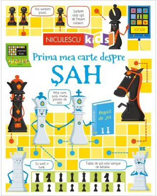 Prima mea carte despre SAH - Katie Daynes