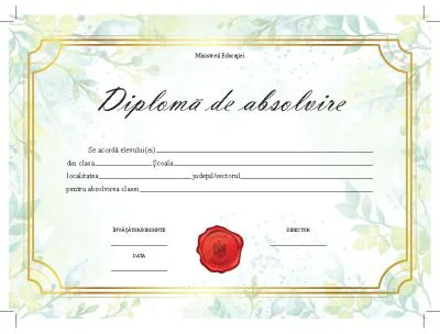 Diploma de absolvire (DZC03)
