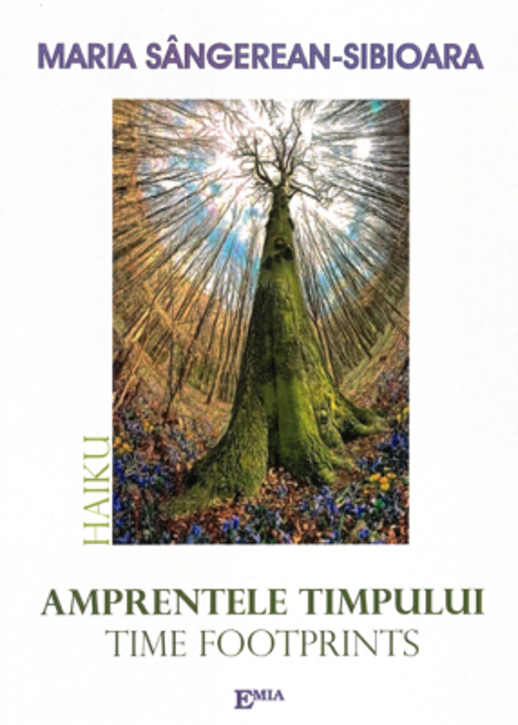Amprentele timpului - Time footprints - Haiku - Maria Sangerean Sibioara