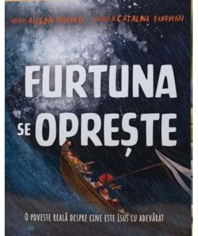 Furtuna se opreste. Seria Povesti care spun adevarul - Alison Mitchell