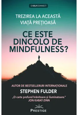 Ce este dincolo de Mindfulness? - Stephen Fulder