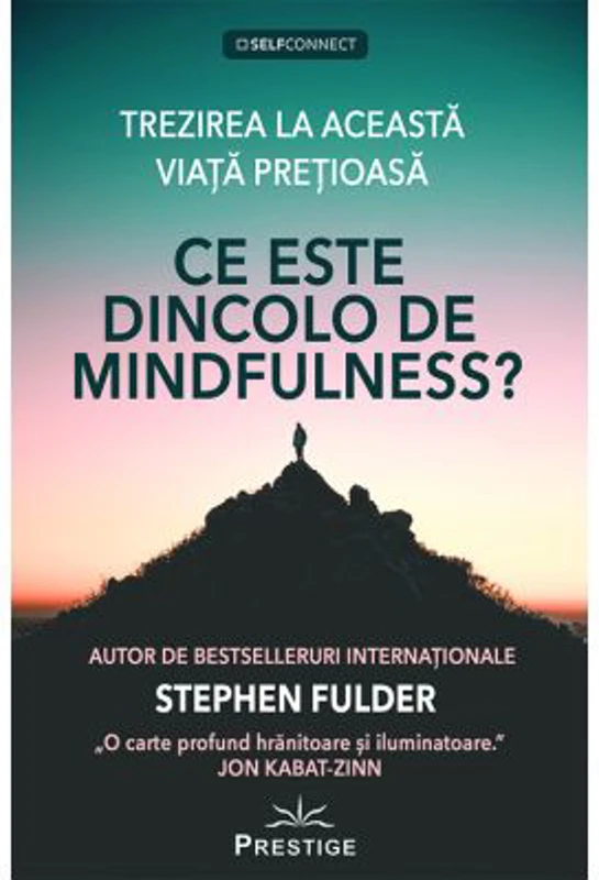 Ce este dincolo de Mindfulness? - Stephen Fulder