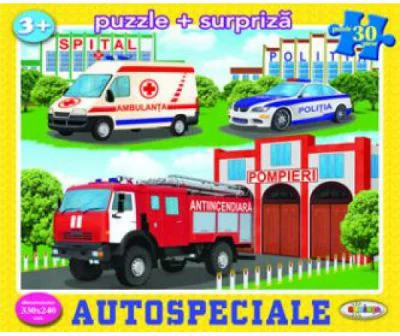 Puzzle Autospeciale