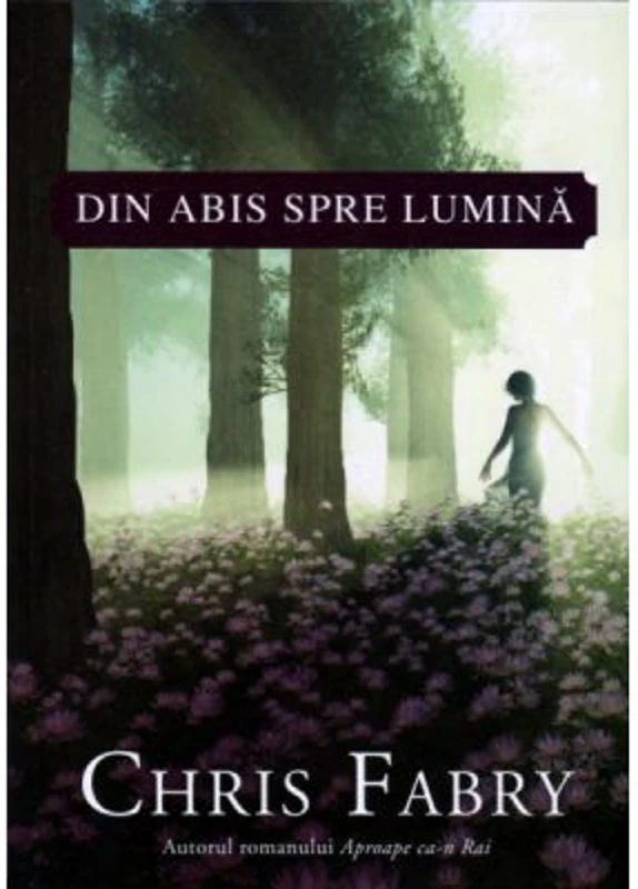 Din abis spre lumina - Chris Fabry