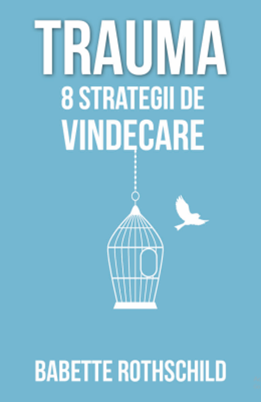 Trauma. 8 strategii de vindecare - Babette Rothschild