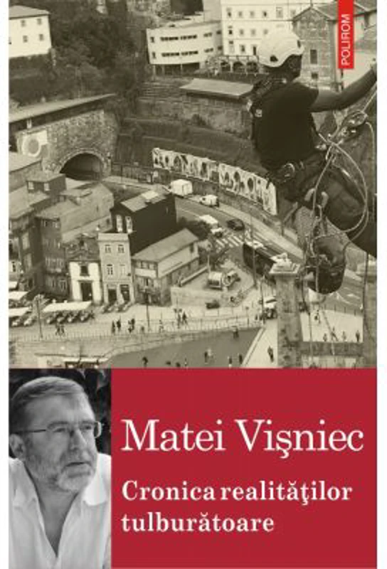 Cronica realitatilor tulburatoare (sau despre lumea contemporana in fata marilor decizii) - Matei Visniec