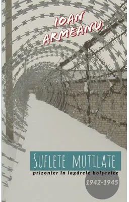 Suflete mutilate - Ioan Armeanu