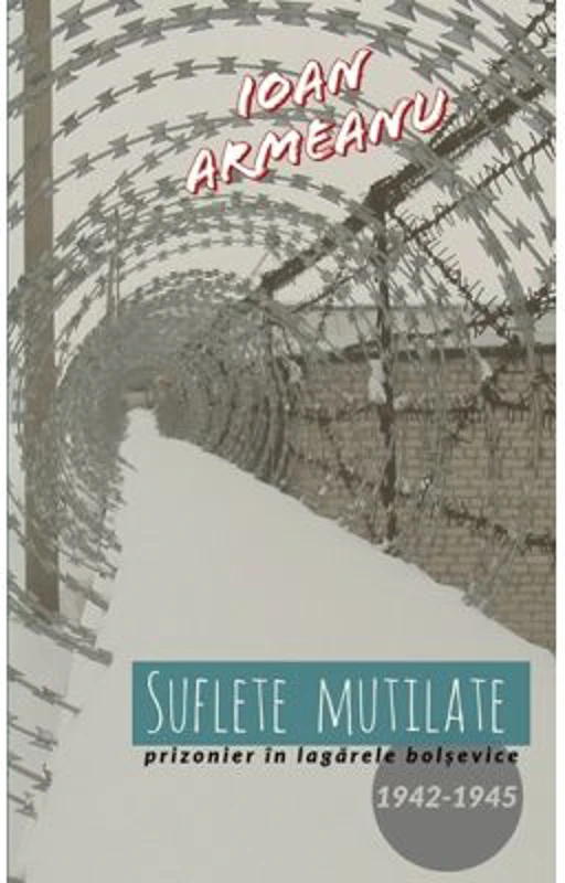 Suflete mutilate - Ioan Armeanu