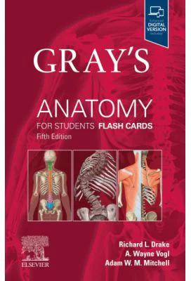 Gray's Anatomy for Students Flash Cards