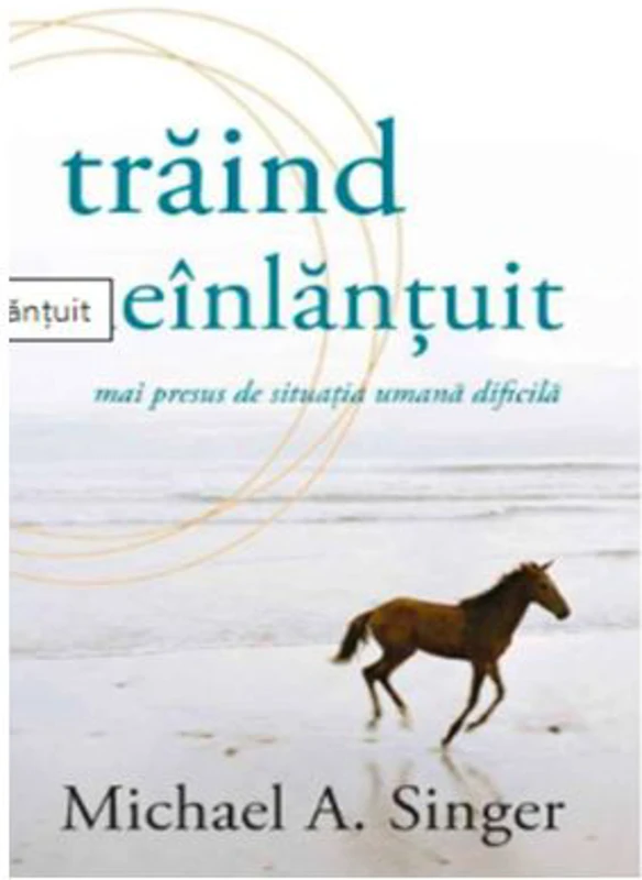 Traind neinlantuit - Michael A. Singer