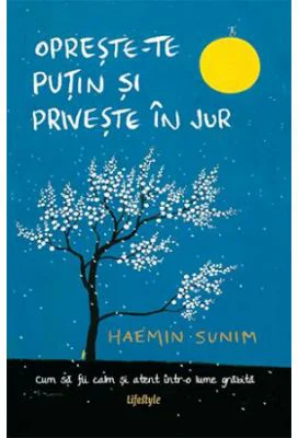 Opreste-te putin si priveste in jur - Haemin Sunim