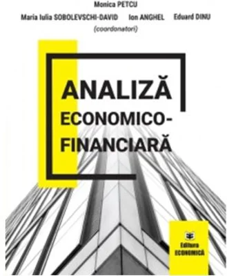 Analiza economico-financiara - Monica Petcu