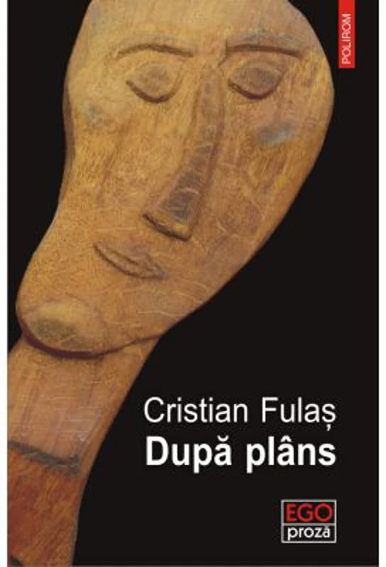 Dupa plans - Cristian Fulas